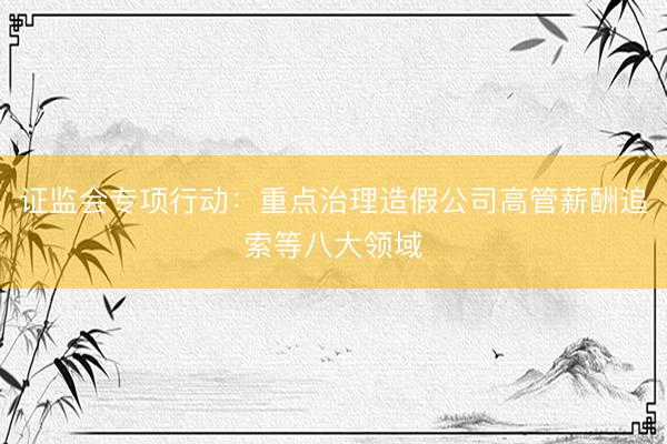 证监会专项行动：重点治理造假公司高管薪酬追索等八大领域