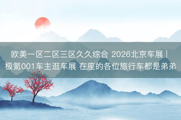 欧美一区二区三区久久综合 2026北京车展 | 极氪001车主逛车展 在座的各位旅行车都是弟弟