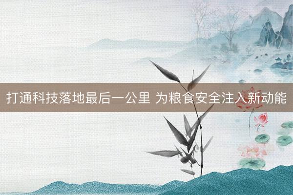 打通科技落地最后一公里 为粮食安全注入新动能