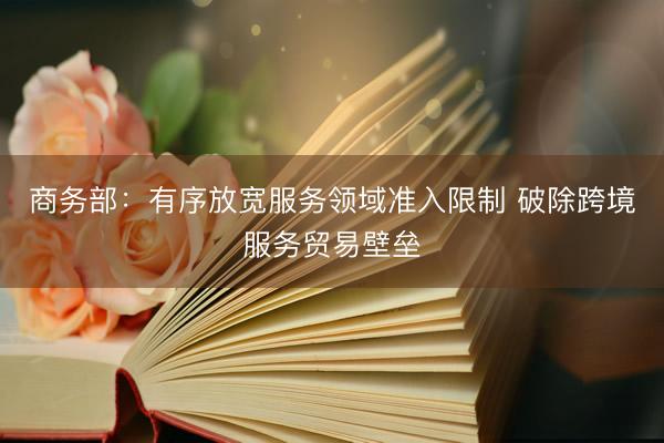 商务部：有序放宽服务领域准入限制 破除跨境服务贸易壁垒