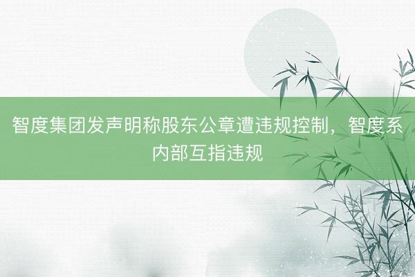 智度集团发声明称股东公章遭违规控制，智度系内部互指违规