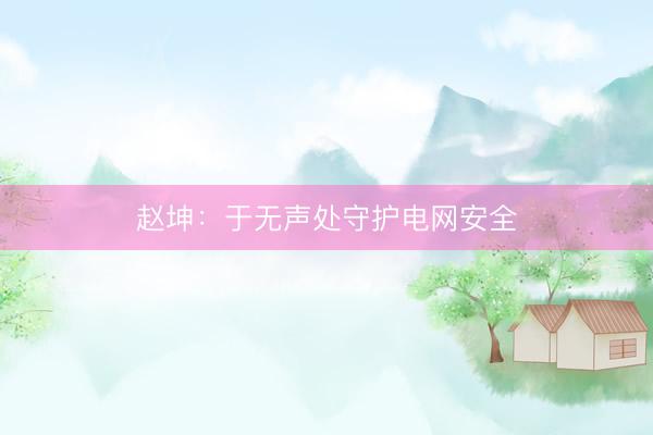 赵坤：于无声处守护电网安全