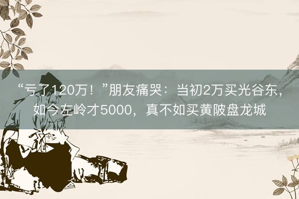 “亏了120万！”朋友痛哭：当初2万买光谷东，如今左岭才5000，真不如买黄陂盘龙城