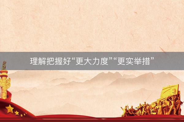 理解把握好“更大力度”“更实举措”