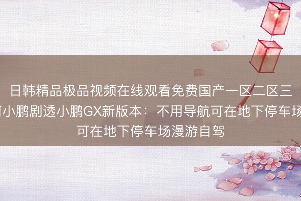 日韩精品极品视频在线观看免费国产一区二区三区乱码 何小鹏剧透小鹏GX新版本：不用导航可在地下停车场漫游自驾