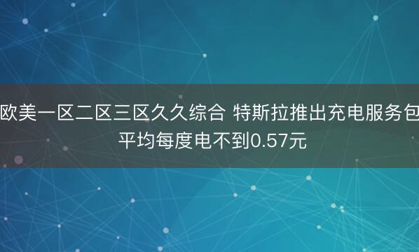 欧美一区二区三区久久综合 特斯拉推出充电服务包 平均每度电不到0.57元