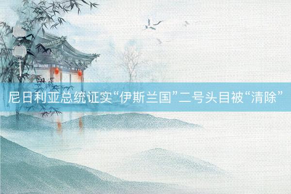 尼日利亚总统证实“伊斯兰国”二号头目被“清除”
