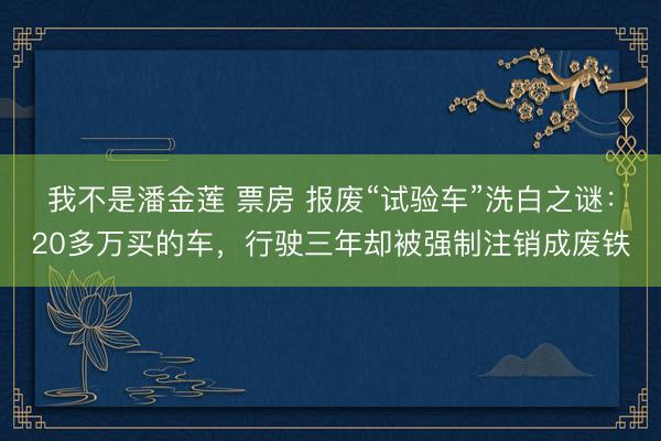 我不是潘金莲 票房 报废“试验车”洗白之谜：20多万买的车，行驶三年却被强制注销成废铁