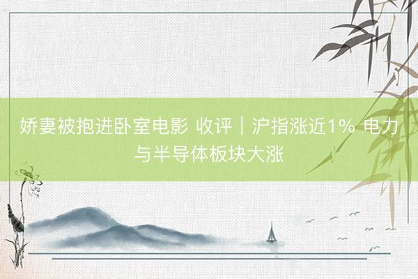娇妻被抱进卧室电影 收评｜沪指涨近1% 电力与半导体板块大涨