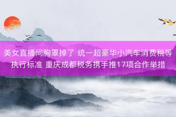 美女直播间胸罩掉了 统一超豪华小汽车消费税等执行标准 重庆成都税务携手推17项合作举措