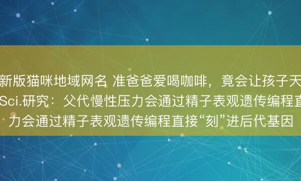 新版猫咪地域网名 准爸爸爱喝咖啡，竟会让孩子天生易焦虑？！Adv. Sci.研究：父代慢性压力会通过精子表观遗传编程直接“刻”进后代基因
