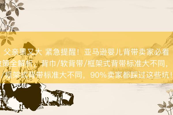 父亲黑又大 紧急提醒！亚马逊婴儿背带卖家必看：2026年最新合规政策全解析，背巾/软背带/框架式背带标准大不同，90%卖家都踩过这些坑！