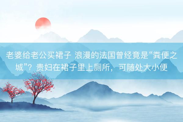 老婆给老公买裙子 浪漫的法国曾经竟是“粪便之城”？贵妇在裙子里上厕所，可随处大小便