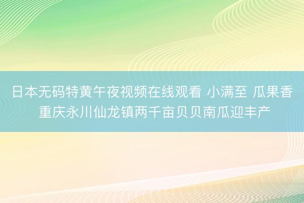 日本无码特黄午夜视频在线观看 小满至 瓜果香 重庆永川仙龙镇两千亩贝贝南瓜迎丰产