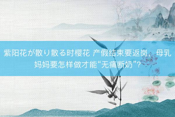 紫阳花が散り散る时樱花 产假结束要返岗，母乳妈妈要怎样做才能“无痛断奶”？