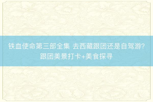 铁血使命第三部全集 去西藏跟团还是自驾游？跟团美景打卡+美食探寻