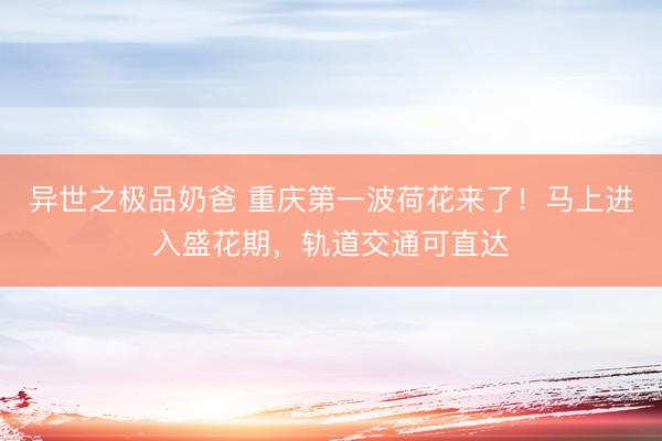 异世之极品奶爸 重庆第一波荷花来了！马上进入盛花期，轨道交通可直达