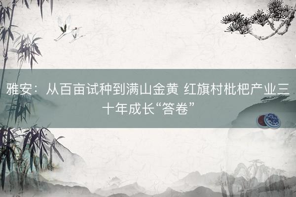 雅安：从百亩试种到满山金黄 红旗村枇杷产业三十年成长“答卷”