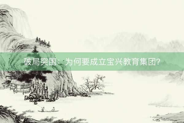 破局突围：为何要成立宝兴教育集团？