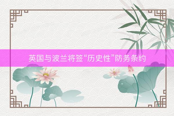 英国与波兰将签“历史性”防务条约