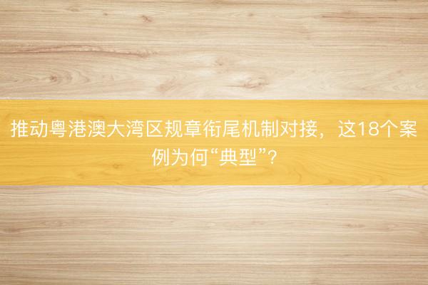 推动粤港澳大湾区规章衔尾机制对接，这18个案例为何“典型”？