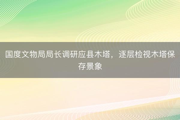 国度文物局局长调研应县木塔，逐层检视木塔保存景象