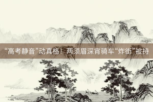“高考静音”动真格！两须眉深宵骑车“炸街”被持