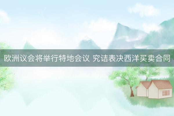 欧洲议会将举行特地会议 究诘表决西洋买卖合同