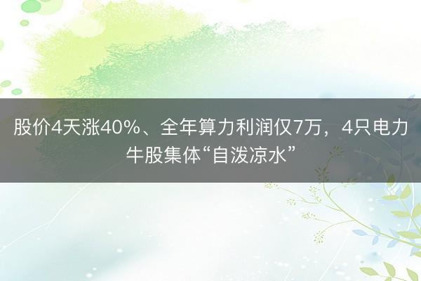 股价4天涨40%、全年算力利润仅7万，4只电力牛股集体“自泼凉水”