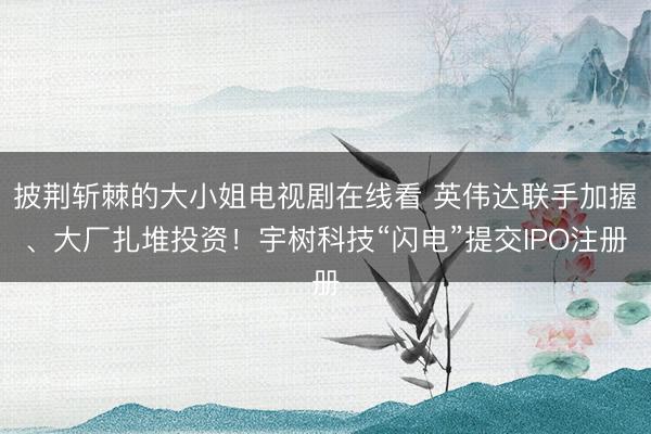 披荆斩棘的大小姐电视剧在线看 英伟达联手加握、大厂扎堆投资！宇树科技“闪电”提交IPO注册