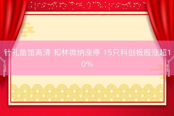针孔旅馆高清 和林微纳涨停 15只科创板股涨超10%