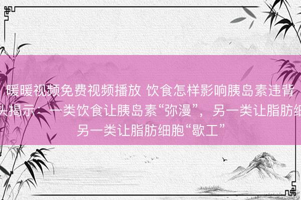 暖暖视频免费视频播放 饮食怎样影响胰岛素违背？ADA接头揭示：一类饮食让胰岛素“弥漫”，另一类让脂肪细胞“歇工”