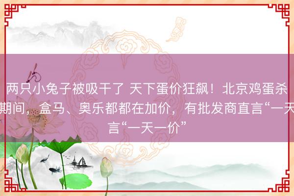 两只小兔子被吸干了 天下蛋价狂飙！北京鸡蛋杀入6元期间，盒马、奥乐都都在加价，有批发商直言“一天一价”