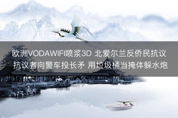 欧洲VODAWIFI喷浆3D 北爱尔兰反侨民抗议 抗议者向警车投长矛 用垃圾桶当掩体躲水炮