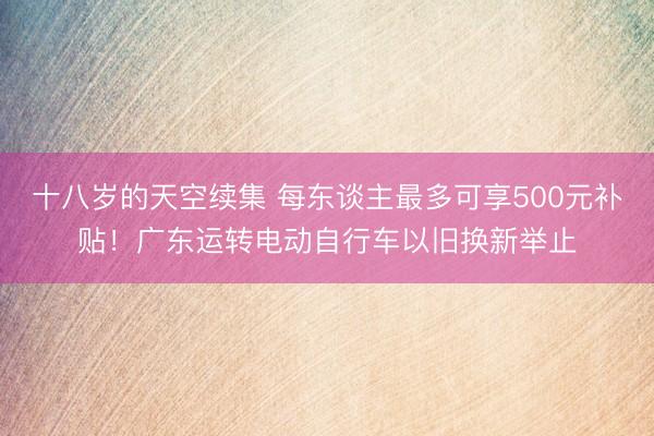 十八岁的天空续集 每东谈主最多可享500元补贴!广东运转电动自行车以旧换新举止