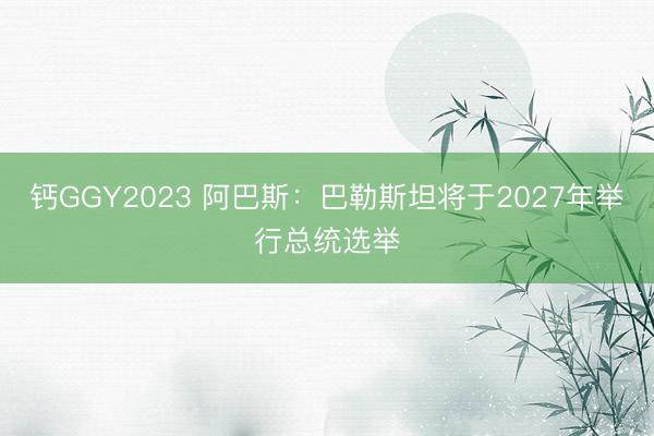 钙GGY2023 阿巴斯：巴勒斯坦将于2027年举行总统选举