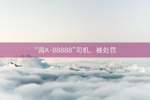 “润A·88888”司机，被处罚