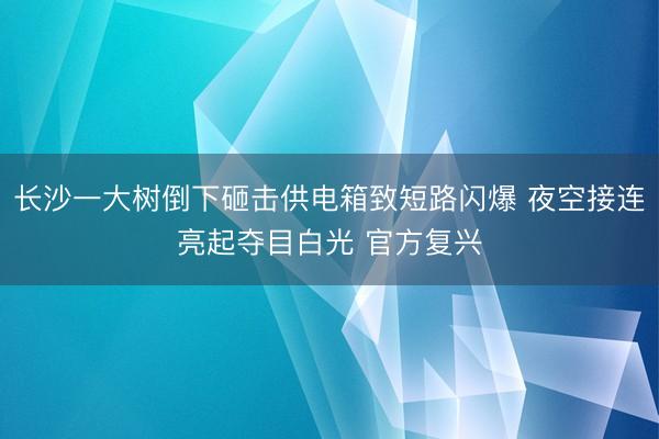 长沙一大树倒下砸击供电箱致短路闪爆 夜空接连亮起夺目白光 官方复兴